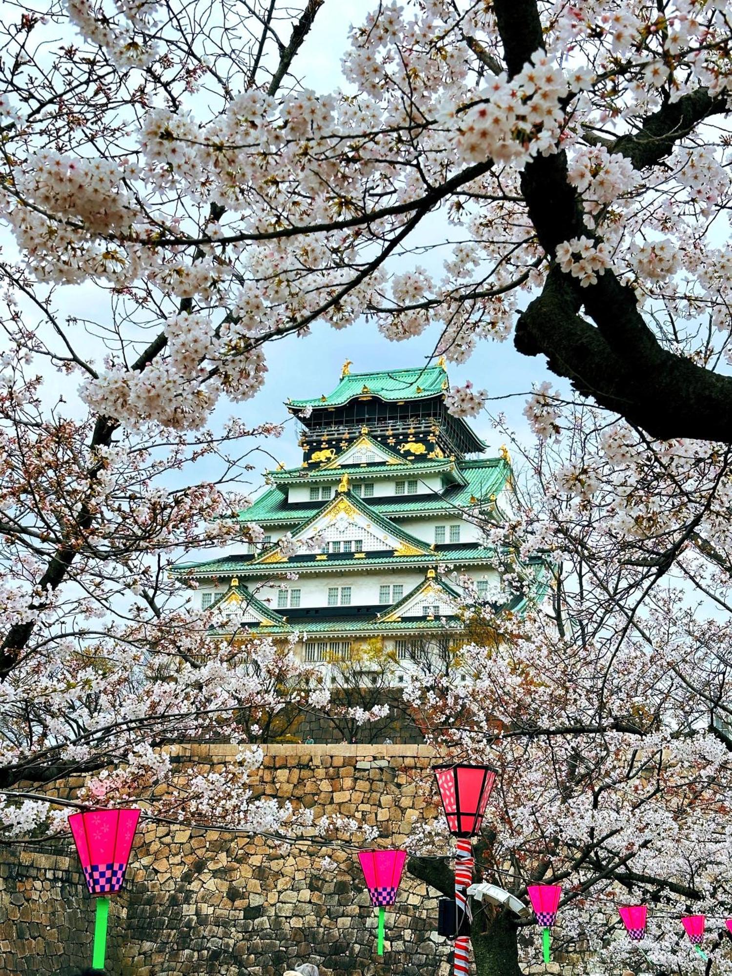 Z 大阪/日本環球影城/千鳥橋/一戶建 * 大阪
